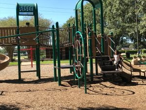 Brookline Village, Ma 21 Lost Creek Park