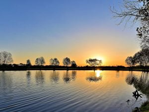 Brockton, Ma 20 Seabourne Creek Nature Park