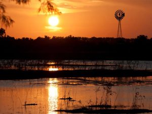 Sugar Land Memorial Park