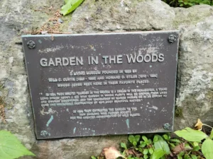 Home 14 Garden in the Woods